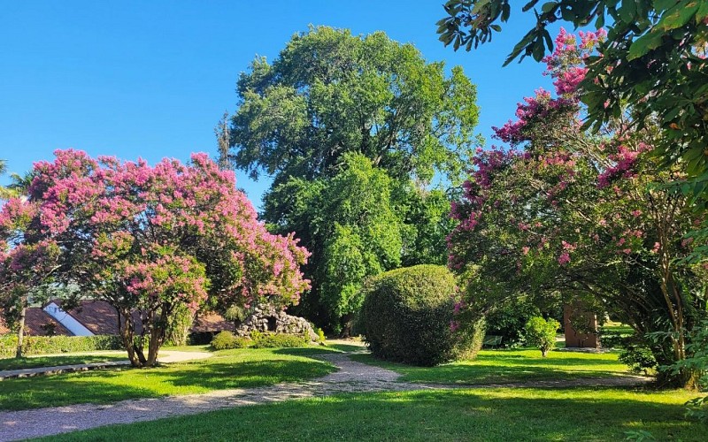 LAURA Suharriaga 1440 x 900