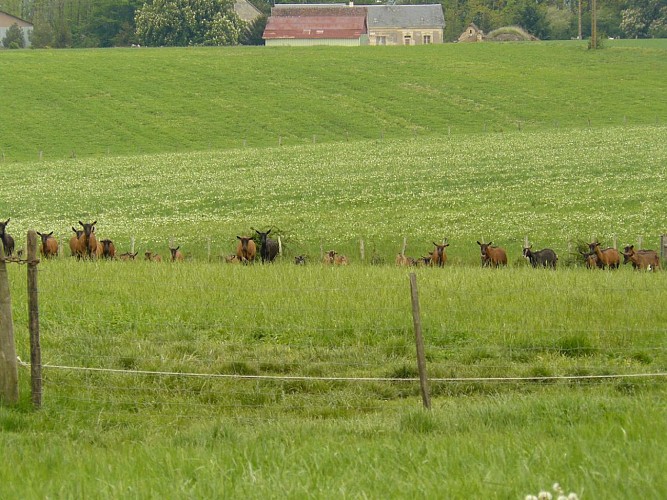 Ferme la petite forêt à Montoire-sur-le Loir