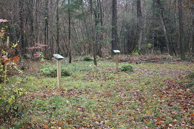 Arboretum de Villecey-sur-Mad