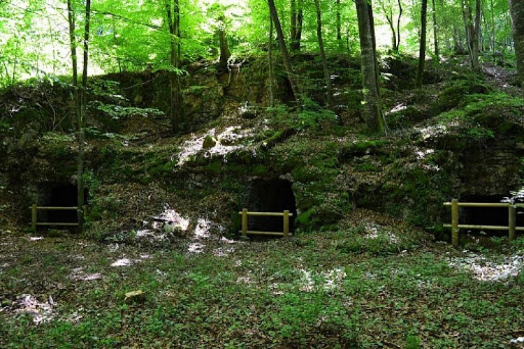 Les abris cavernes de la première guerre mondiale de Viéville-en-Haye