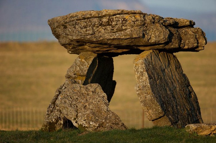 Dolmen de Tiergues