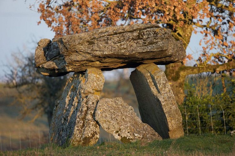 Dolmen de Tiergues