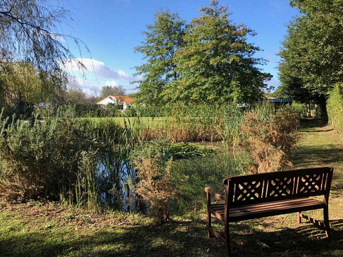 Aux portes du grand bleu