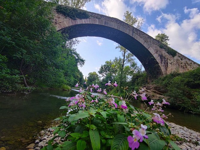 Pont Vieux de Lapeyre - Fleurs