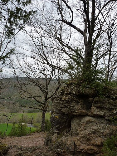 Le chemin des terres rouges