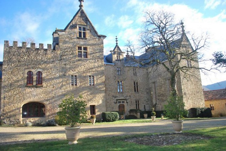Château de Laumière