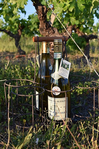 Domaine du Buisson