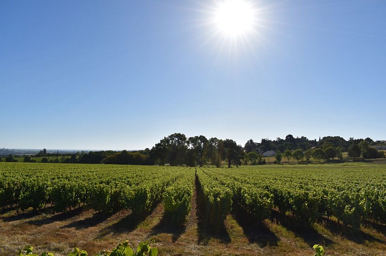 Domaine du Buisson