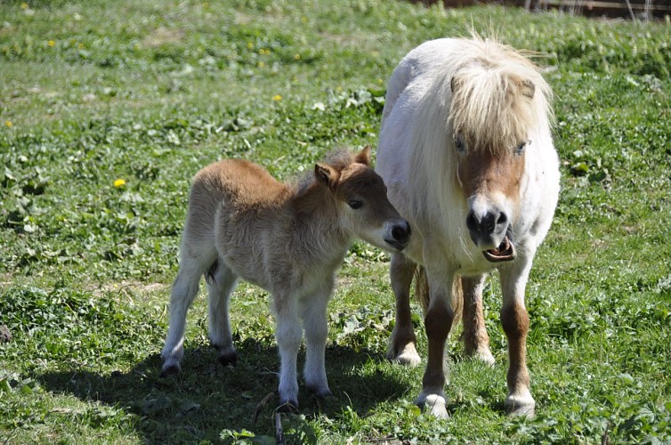 MEUBLE DE TOURISME DEPLANTE_6