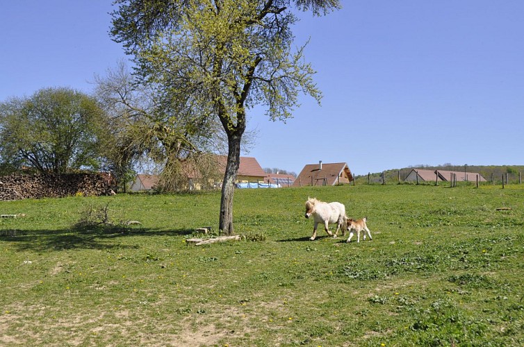 MEUBLE DE TOURISME DEPLANTE_7