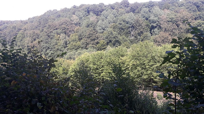 Profitez du point de vue