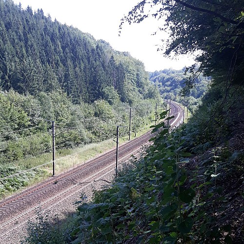 Profitez du point de vue