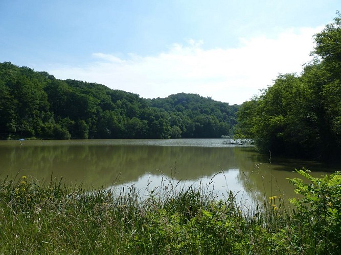 lac Thèze tourisme Nord Béarn