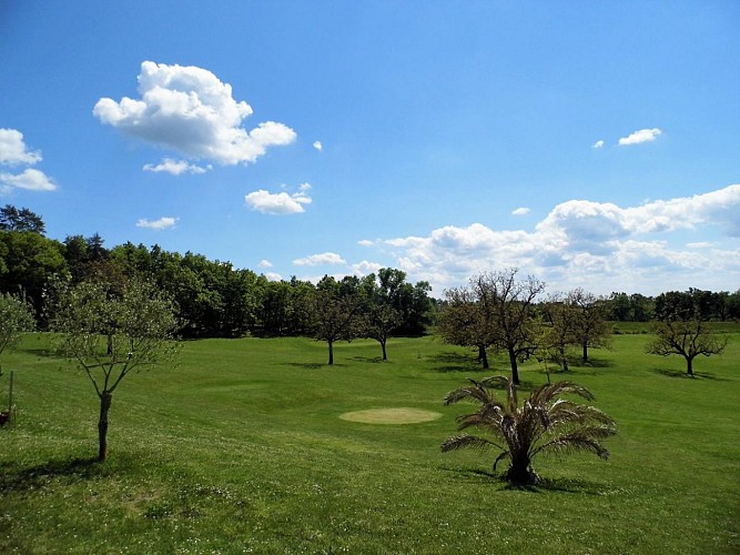 DOMAINE DE SAVIGNOUX_8