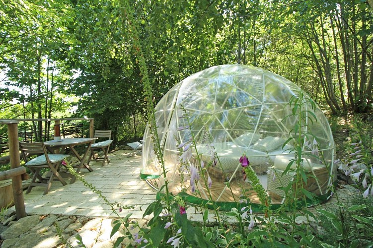 La bulle des Bois de Saint Auvent à La Geneytouse en Haute-Vienne (Nouvelle Aquitaine)_7