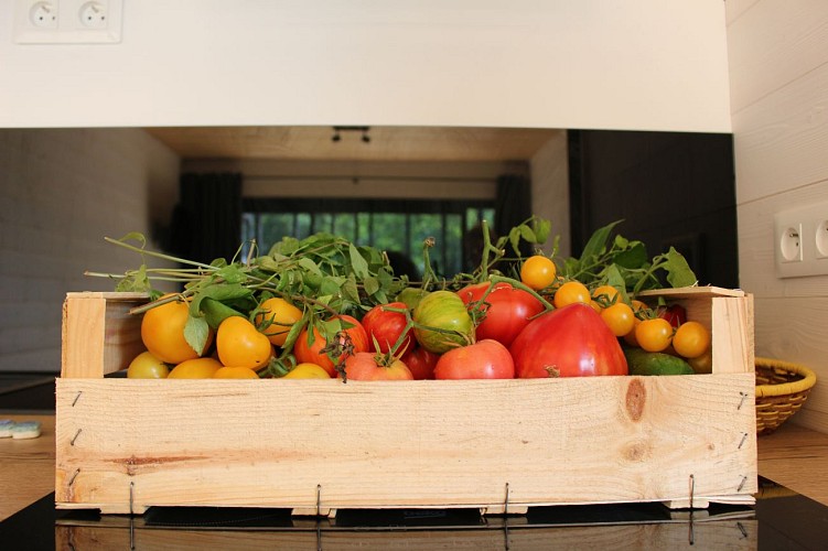 Lacanau Moutchic Inn (20)