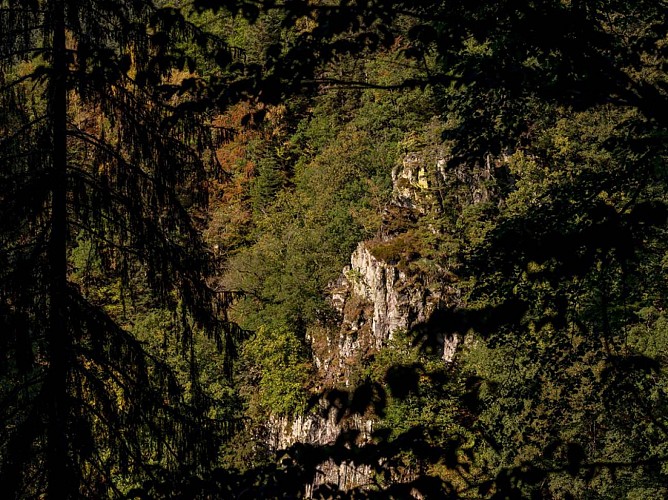 Cascade du Nideck
