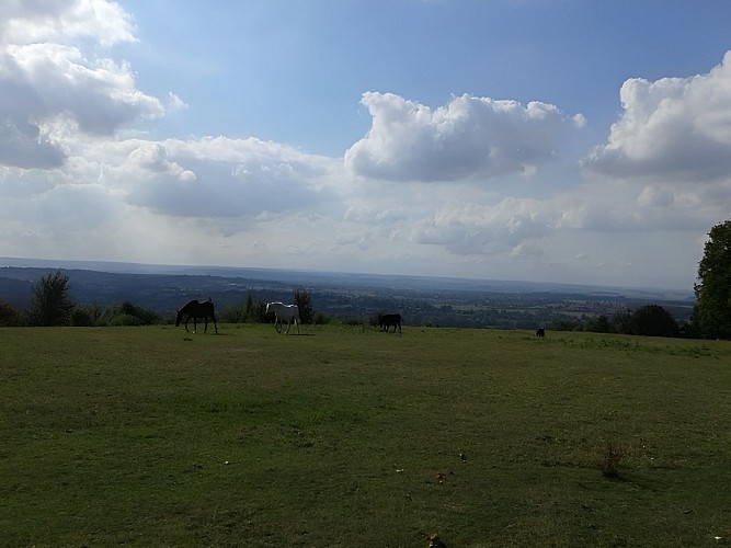 Le Billot _ Lisieux Normandie (9)