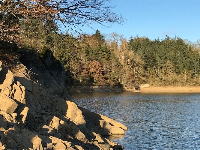 Meublé "La Villa du Tan"