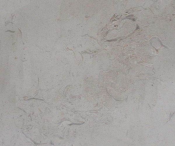 Des coquilles d’huître perforées