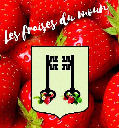 fraises du moun.jpg_1