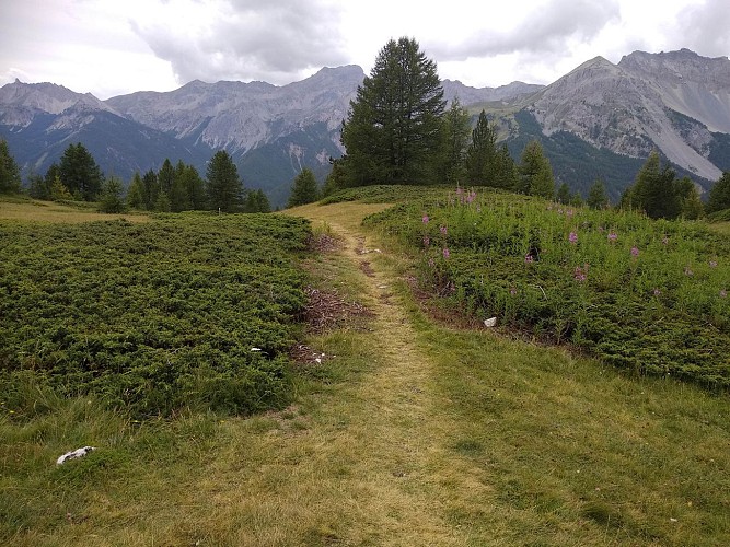 ☀ Jour 6 - Refuge Font de Cervières ➡ Gîte La Teppio (la Chalp)