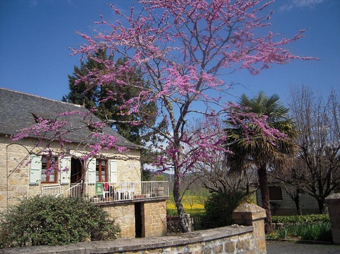 Location Gîtes de France - Réf : 19G2207