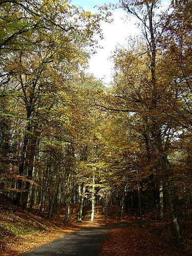 Location Gîtes de France - Réf : 19G4060