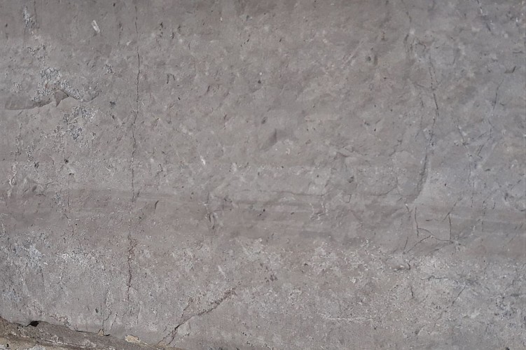 Un calcaire à stromatolithes