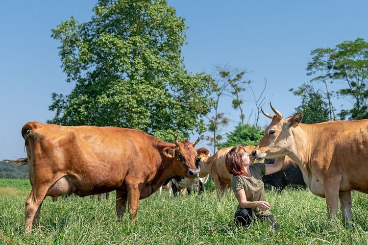 Ferme des vaches (c) Costedoat 2020 TiS