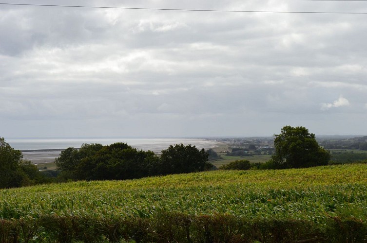 L'Eglise de Grenneville