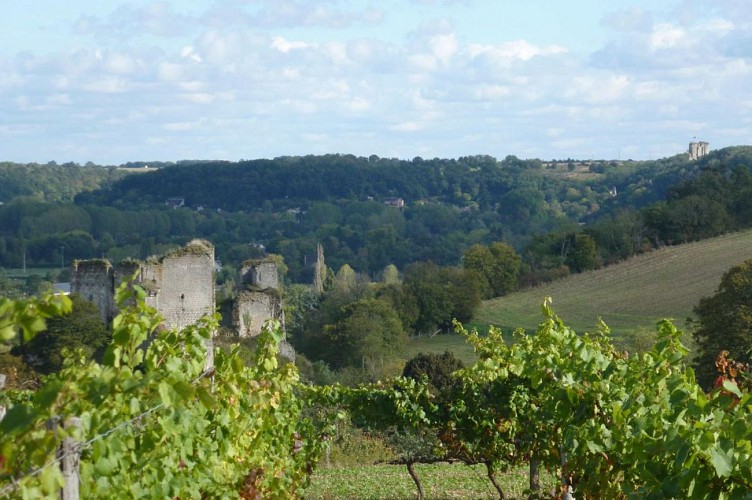 Domaine Martellière à Montoire-sur-le Loir