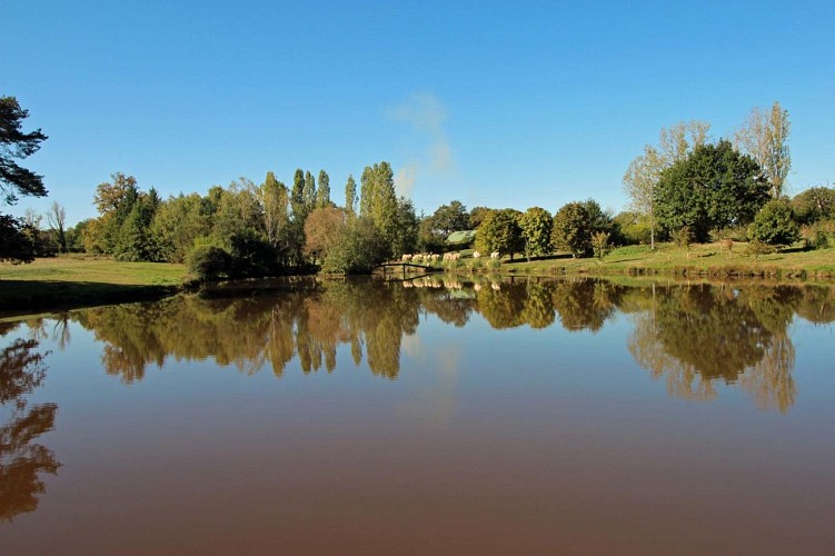 Gite de "Montbrugnaud " à Mailhac sur Benaize en Haute-Vienne - l'étang au bas du terrain_2