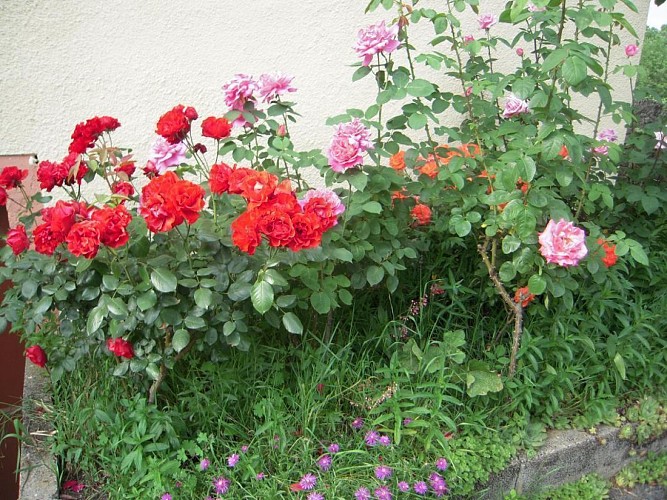 Location Gîtes de France - Réf : 19G2208