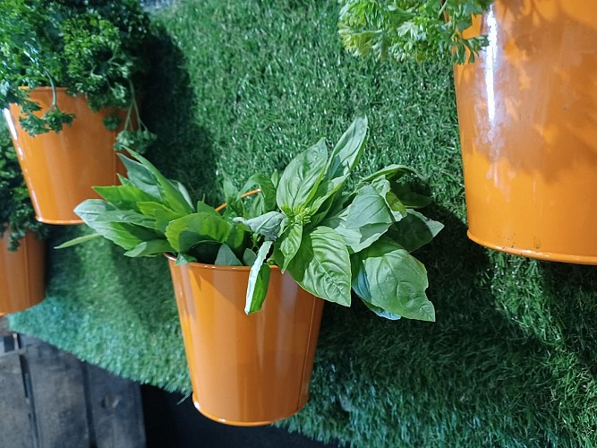 Le Potager des Mauges, magasin à la ferme