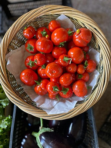 387820679_807910838008582_7875320694274399181_n