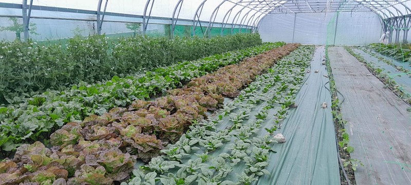 438173166_943972861069045_3211179525150614361_n