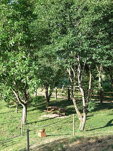 aire de pique-nique 1