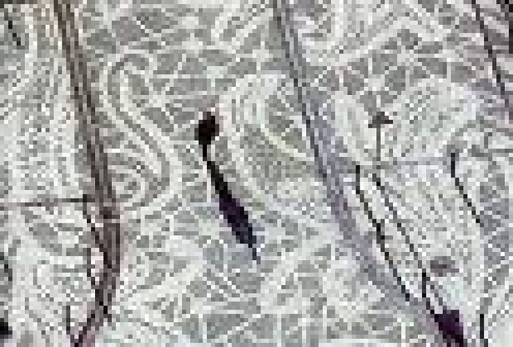 image du object