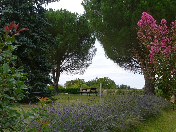 pique nique st michel double2