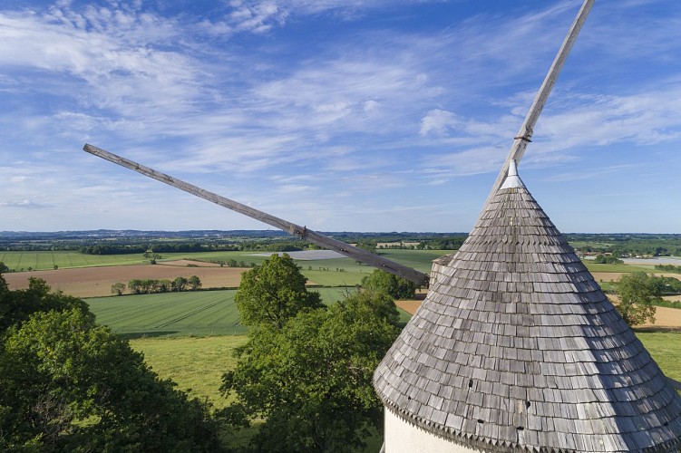 LA COLLINE DES MOULINS