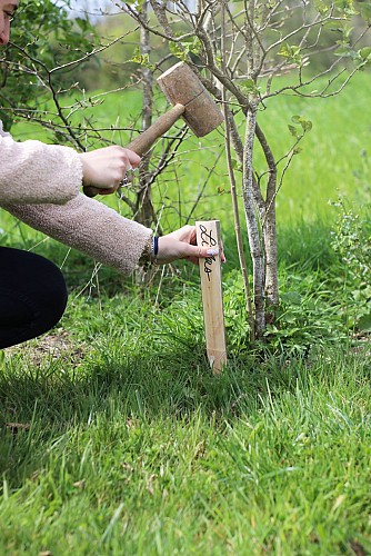 Gîte écologique "Ecolieu La Gataudière"