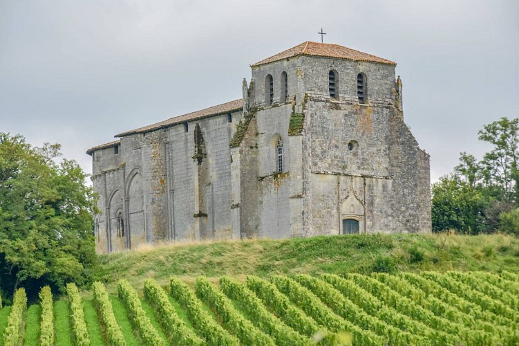Eglise_Saint-Pierre_-_Pujols_-_OTCP_Emmanuel_GAYE_2021 (6)