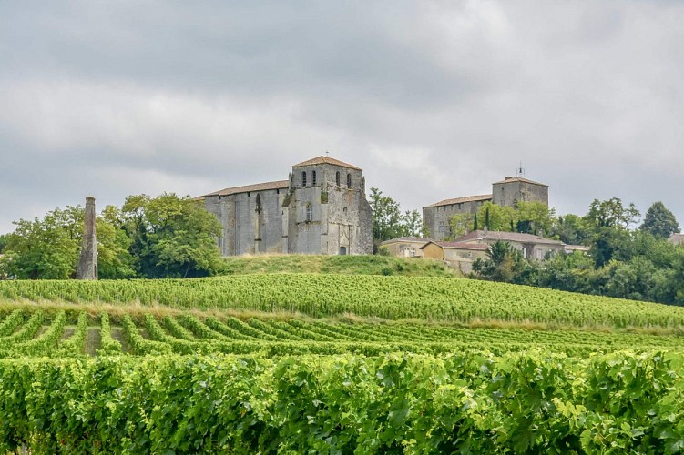 Eglise_Saint-Pierre_-_Pujols_-_OTCP_Emmanuel_GAYE_2021 (7)