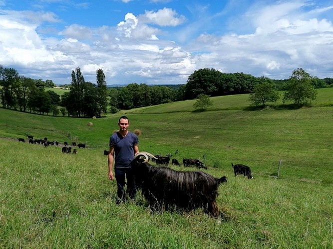 La chèvre Coquine Douchapt 4