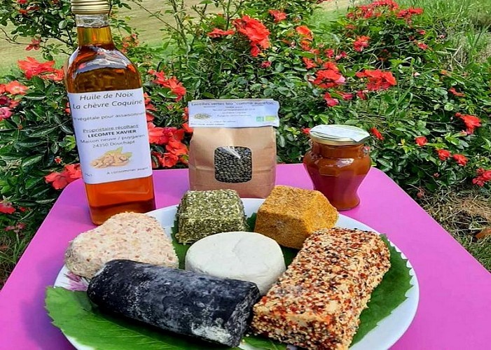 La chèvre Coquine Douchapt 1