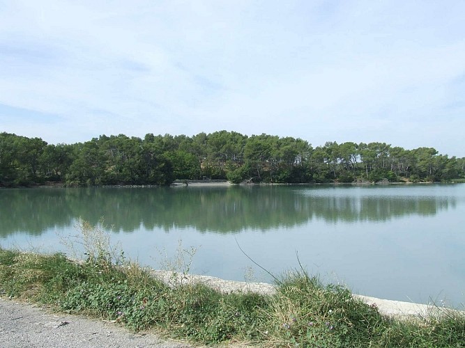 Le Lac Bleu- Bassin du Réaltor (43°27'43.66"N 5°20'7.94"E)