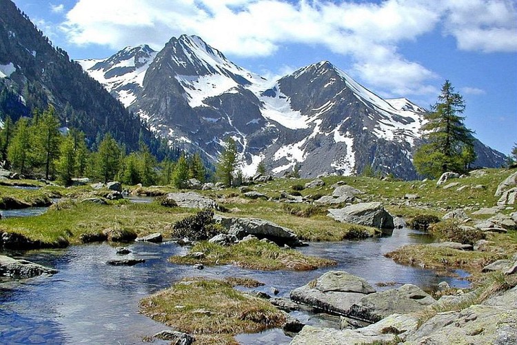 La cime de l'Agnellière, (2699 m) et la cime de Juisses, (2580 m), depuis le haut Boréon, zone humide.