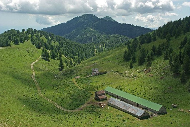 Les vacheries de l'Authion