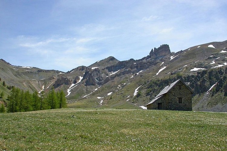 La cabane de Tortisse dans une prairie fleurie en fin de printemps. Au fond, les aiguilles de Tortisse. Névés résiduels.